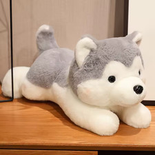 30/40CM Cute Husky Dog Plush