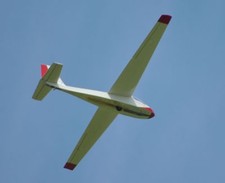 Giant 1/6 Scale Slingsby T-49B