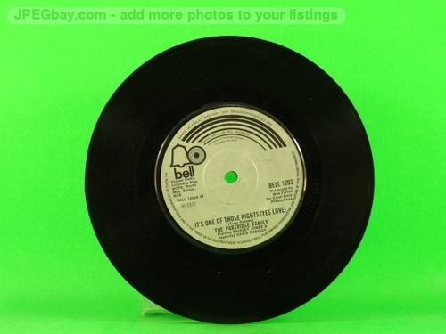 Partridge family one of - family,
