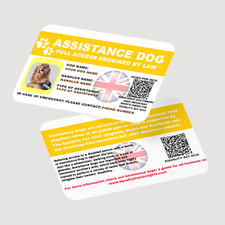 Assistance Dog - Service Dog -