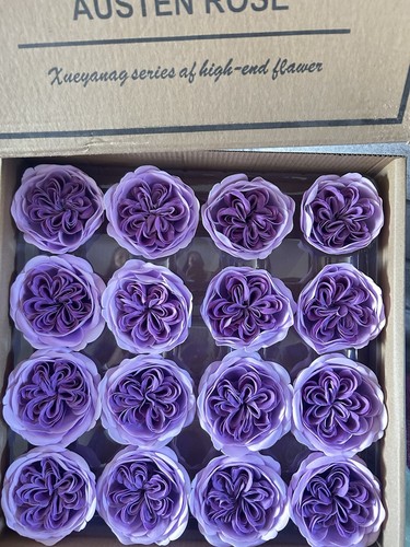 Box luxury purple austin - of,