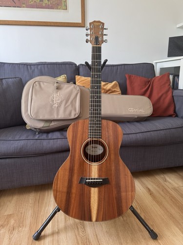 Taylor mini koa - gs,