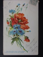 Poppies POPPIES & CORNCOCKLES