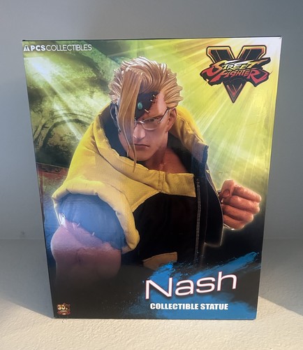 Street fighter nash large - street, v