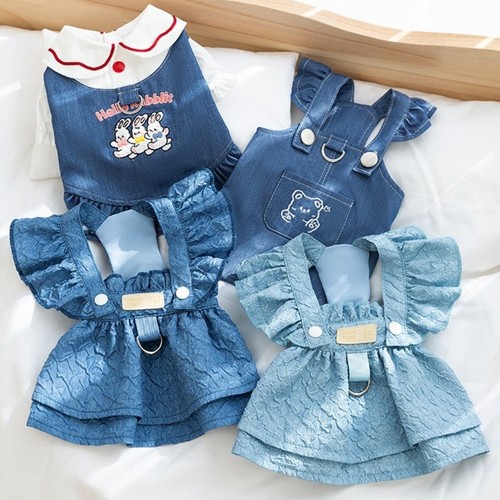 Blue color dog - color, dresses
