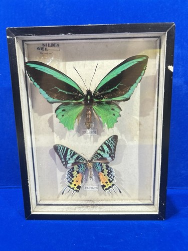 Vintage framed peanus - framed,