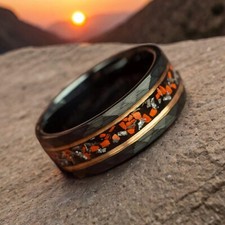 Dinosaur Bone & Meteorite