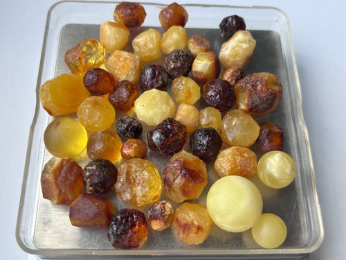 Natural baltic amber stones - baltic,