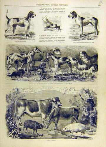 Old antique print - old,