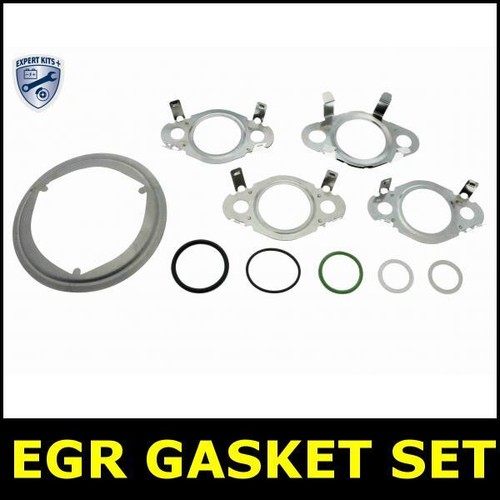 Egr gasket set for - set, touran