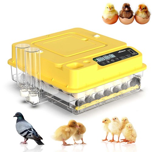 Eggs fully automatic - 24,