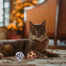  10 Pcs Leopard Print Cat Ball Baby Kitten Interactive Toys Balls
