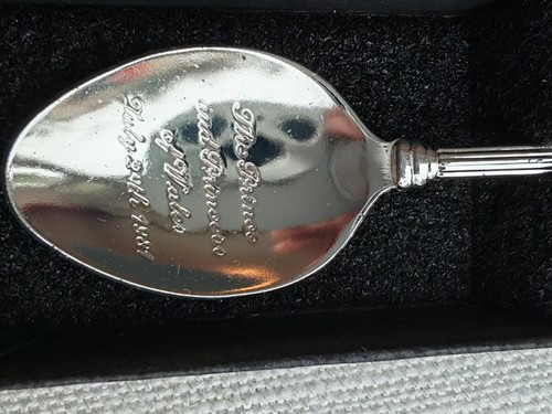 Souvenir spoon princess diana - spoon,