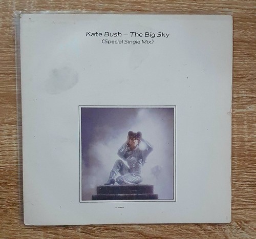 Kate bush the - -, big
