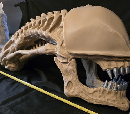 Alien xenomorph skull - xenomorph,