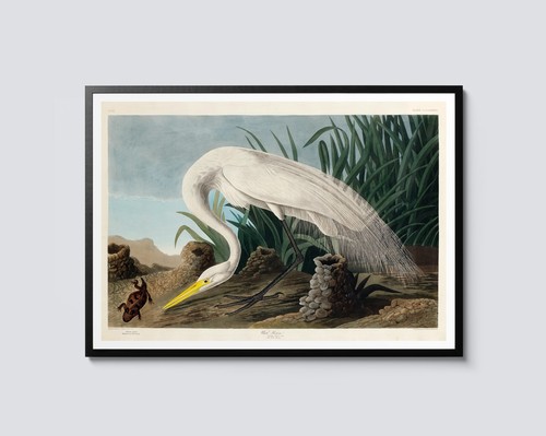 White heron print - white,