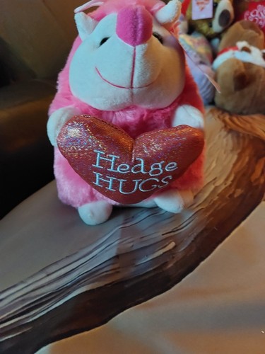 Toys pink hedgehog - bj, holding
