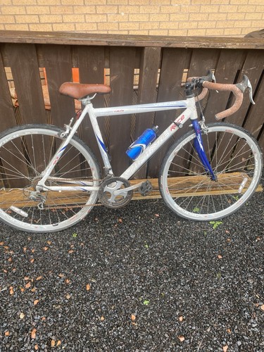 Viking gents racing bike - racing,