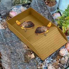 Reptile bathtub water basin - water,