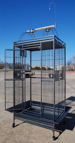 Play top parrot - 75",