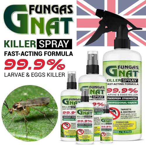 100 natural pure fungus - natural,