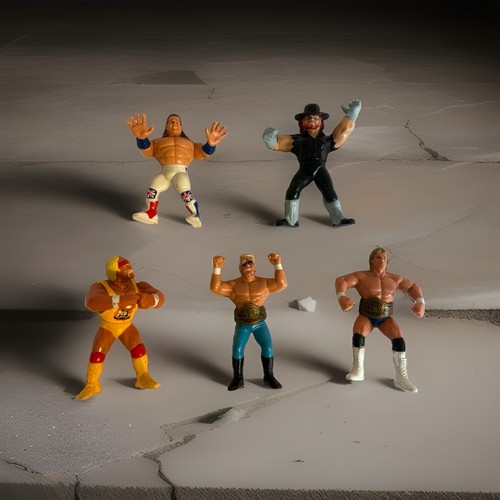 Hasbro wwf wwe - hasbro, wwf/wwe