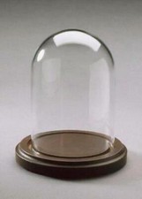 Glass Display Dome with Wood