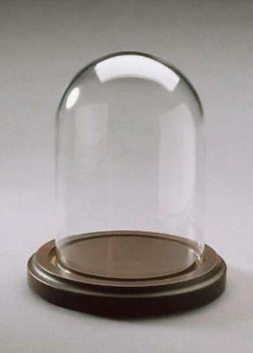 Glass display dome with wood - glass,