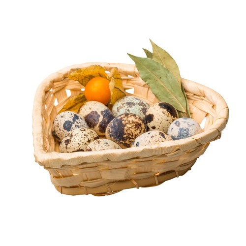 Fresh quail eggs - fresh, in