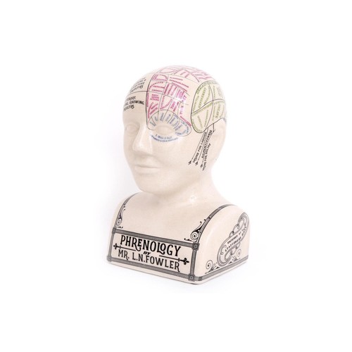 Large crackle phrenology head - large,