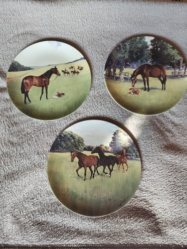 Thoroughbred decorative - 3,