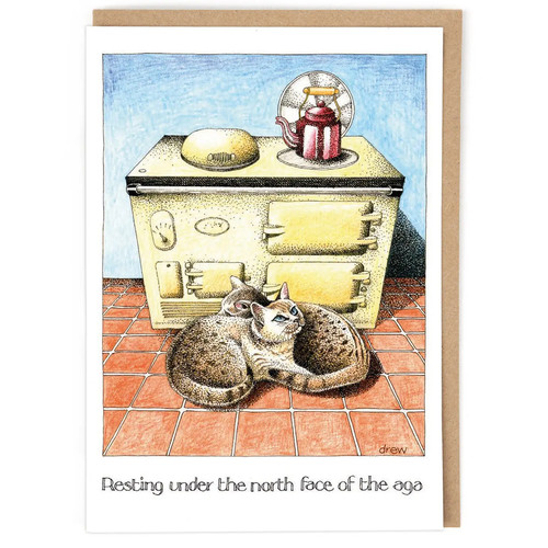Aga oven stove - aga, art