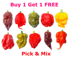 Worlds HOTTEST Chilli Seeds -