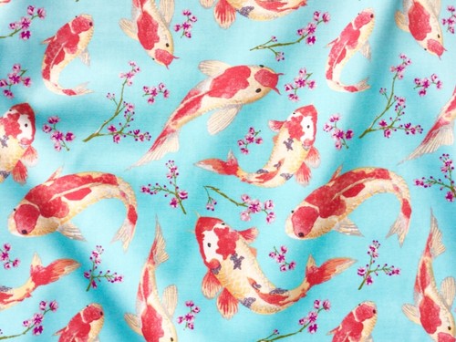 Koi carp fish japanese - koi,