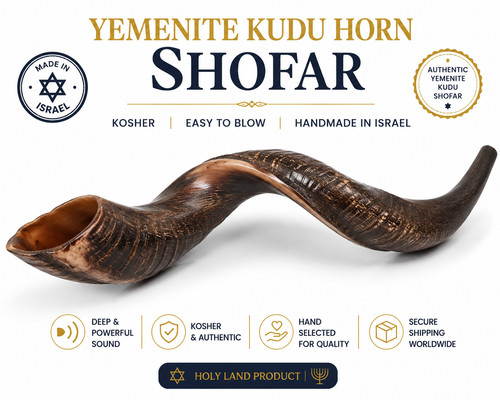 Yemenite shofar kudu - shofar, horn