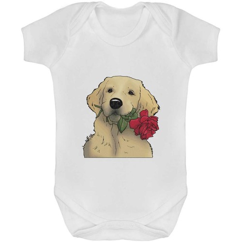 Golden retriever rose - 'golden, &