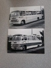 Osbornes of Tollesbury-Bedford