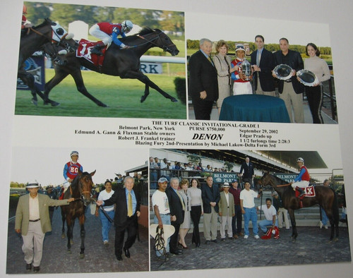 Turf classic grade 2002 - classic,