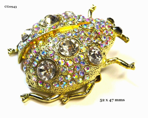 Large brooch ladybird - of, a