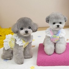 Breathable Pet Lace Sleeve