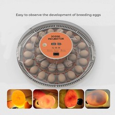 Egg Incubator for Hatching 30