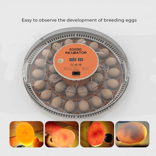 Egg incubator for - incubator, 30