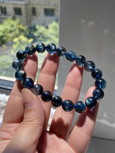 Premium blue tiger - premium, tiger's