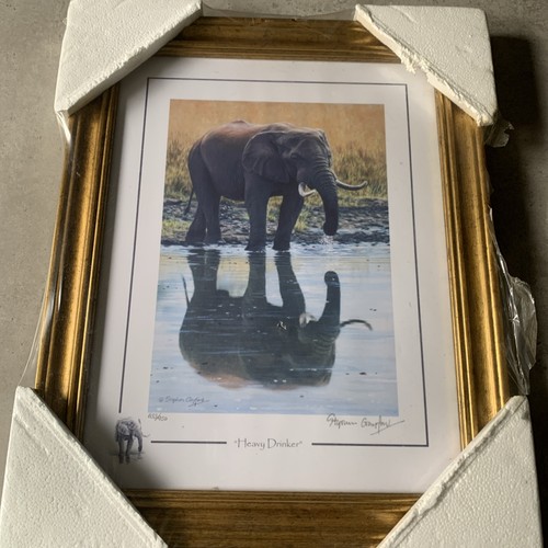 Stephen gayford elephant ltd - gayford,