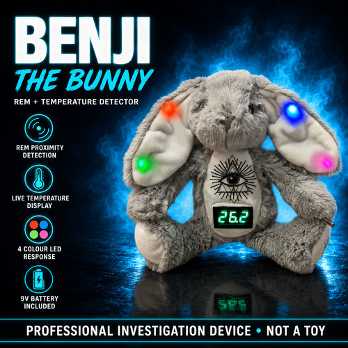 Rem temperature bear device - rem,