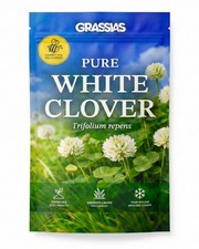 White Clover Lawn Seed Small