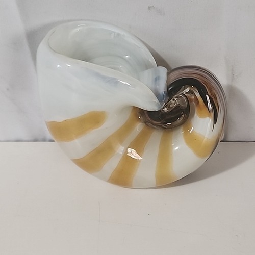 Hand blown nautilus conch - hand,