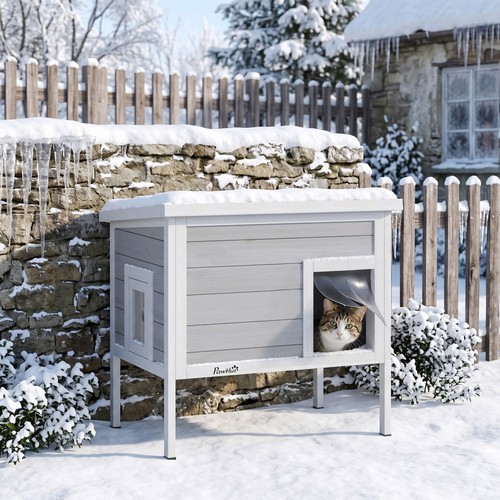 Outdoor cat house - cat,