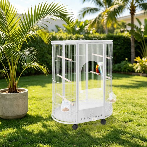 Large oval bird cage white - cage,