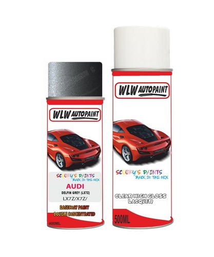 Paint spray for - paint, audi